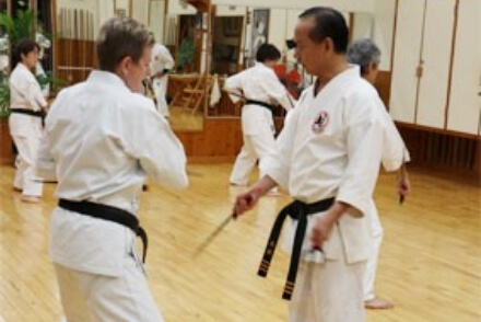 4 Styles of Okinawan KarateTrial Course